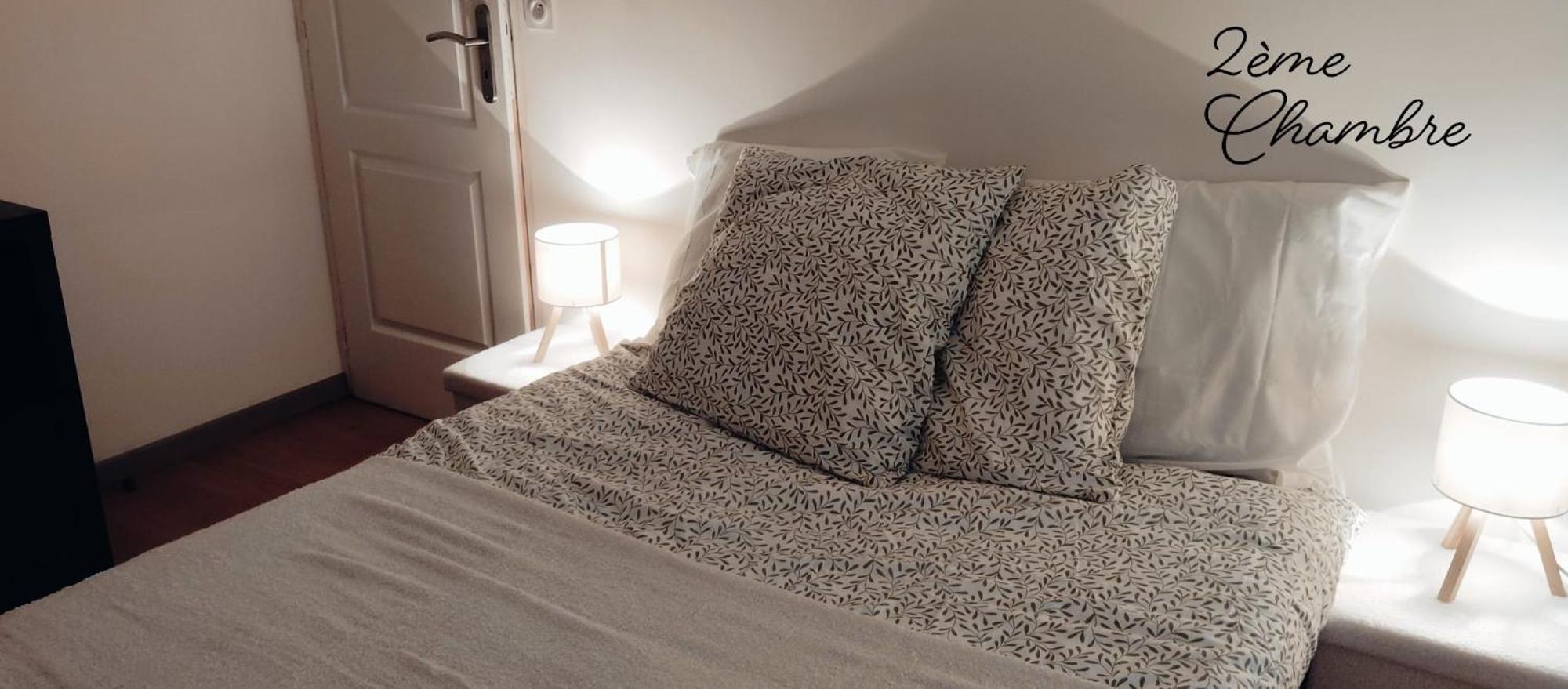 T3 Le Secret De Louis Apartment Saint-Etienne-de-Saint-Geoirs ภายนอก รูปภาพ