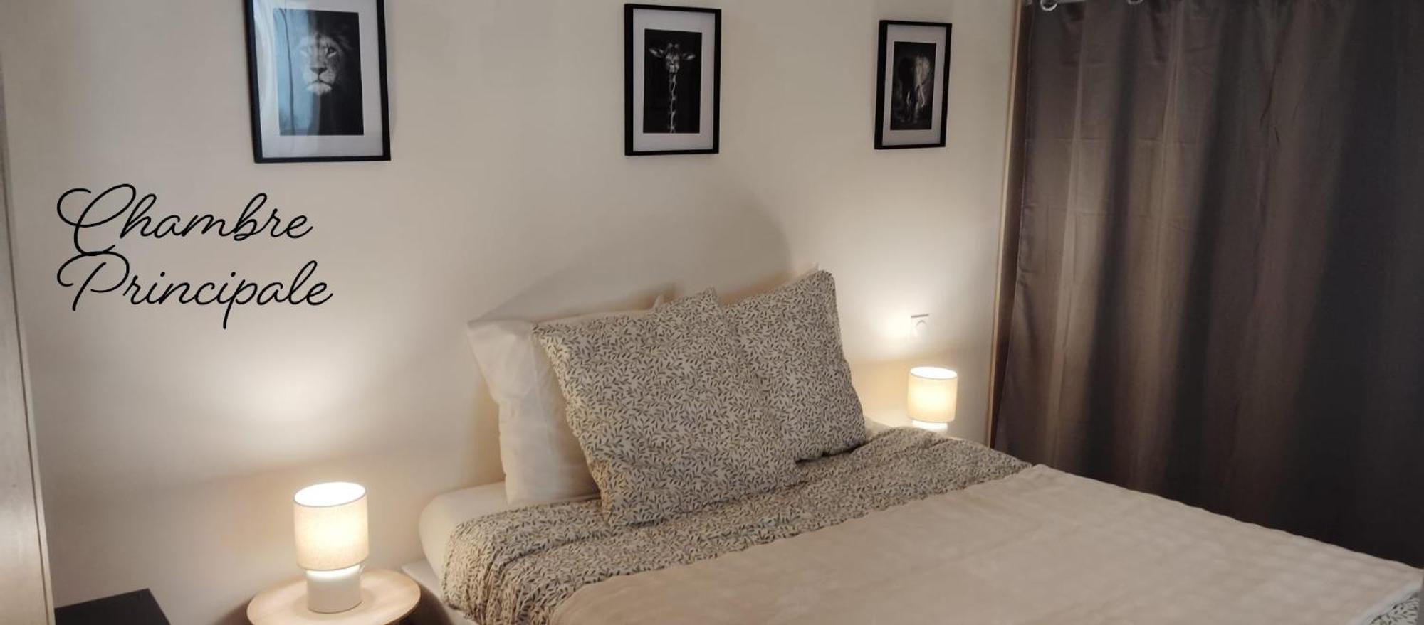 T3 Le Secret De Louis Apartment Saint-Etienne-de-Saint-Geoirs ภายนอก รูปภาพ